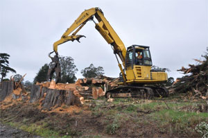 Grubbing and preparing building site for Lost Coast Brewery