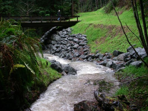 Dunn Creek Project
