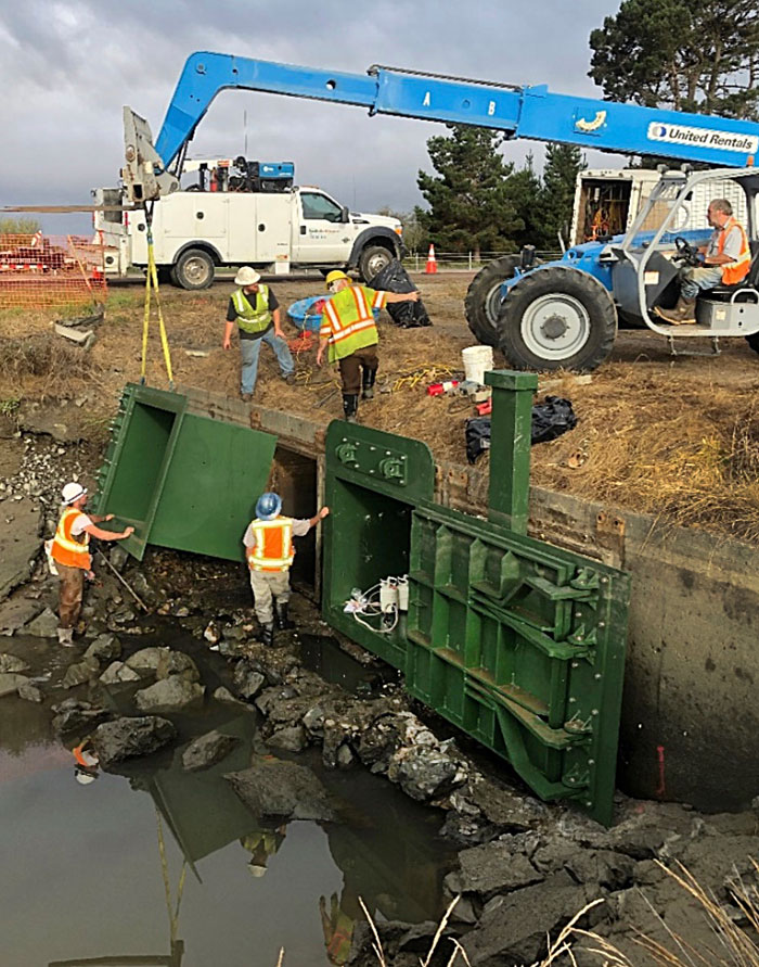 Photo of Tidegate Installation