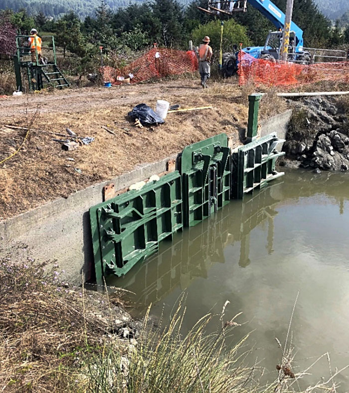 Photo of Tidegate Installation