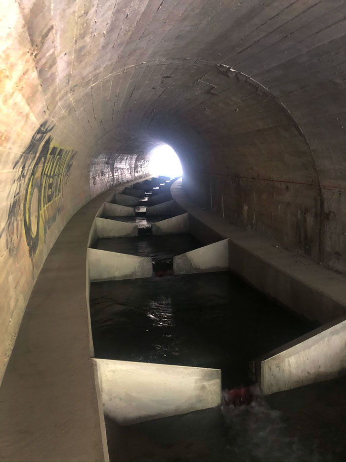 Photo of Fish Passage in Plumas County
