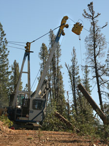 Logging with cable logging system, tractor logging