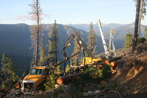 Logging with cable logging system, tractor logging